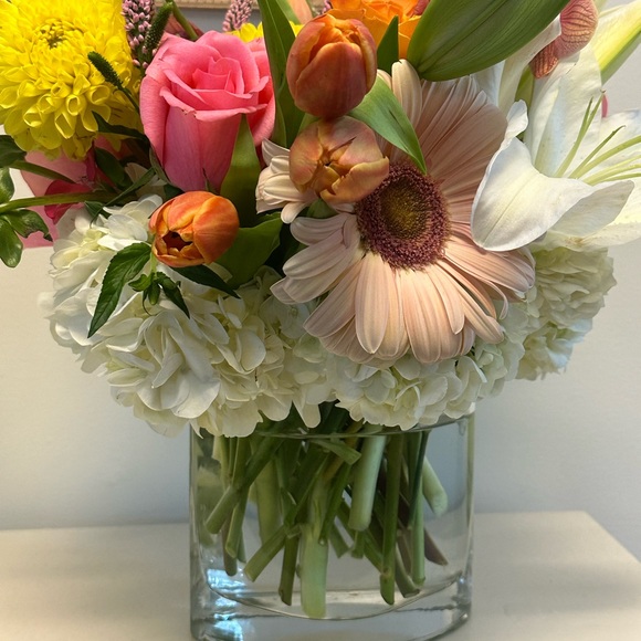 Meet your Posher, Liz - Picture 1 of 1